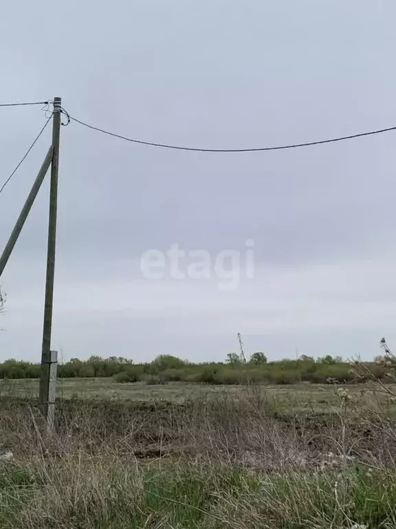 Участок в Курганская область, Далматово ул. Соболева (15.0 сот.) - Фото 1