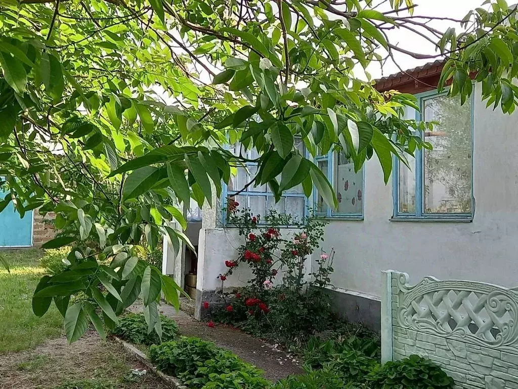 Дом в Крым, Белогорский район, с. Новожиловка ул. Рудковского, 2 (80 ... - Фото 1