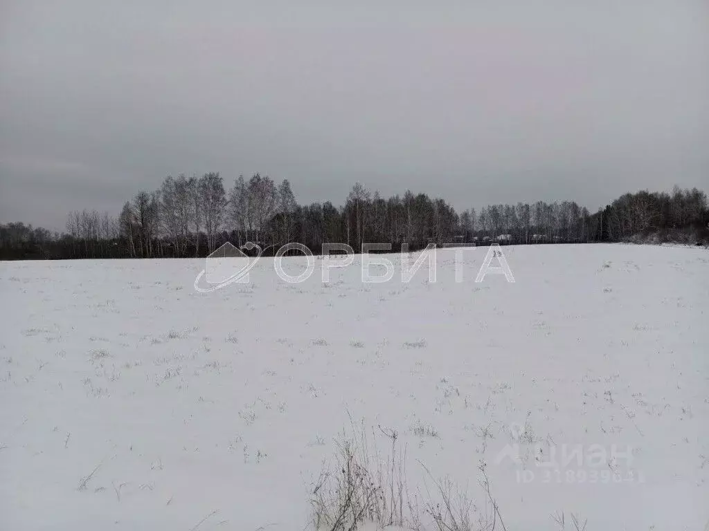 Участок в Тюменская область, Тюменский район, д. Малиновка, Малиновка ... - Фото 0