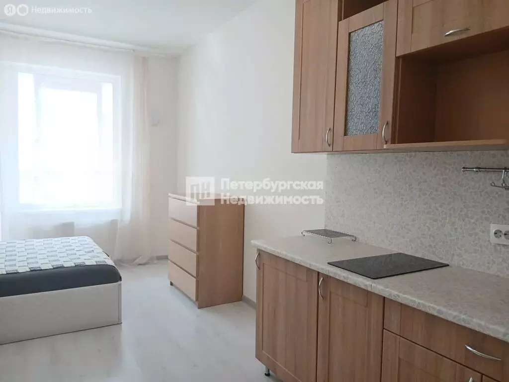 Квартира-студия: Санкт-Петербург, Меридианная улица, 8 (24.2 м) - Фото 2
