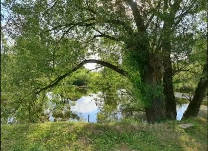 Участок в Московская область, Одинцовский городской округ, д. Шульгино ... - Фото 2