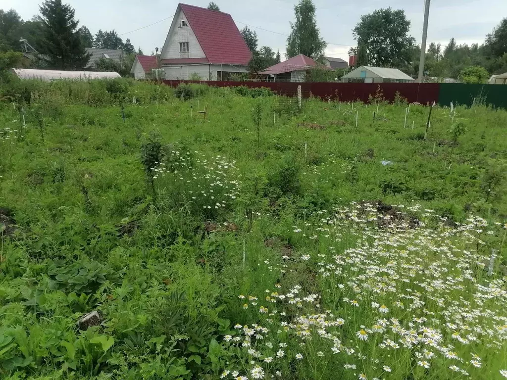 Участок в Тверская область, Кимрский муниципальный округ, Чайка ... - Фото 2