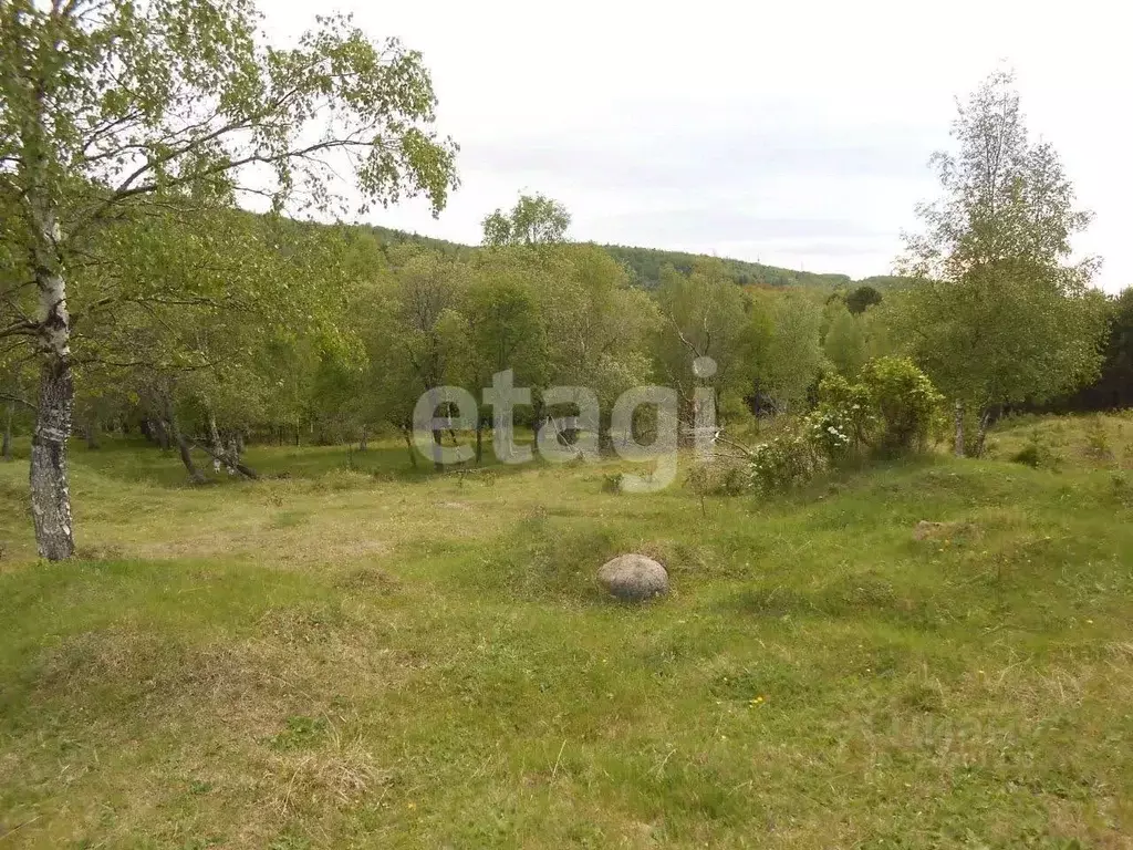 Участок в Бурятия, Бабушкин Кабанский район, Кяхтинская ул. (13.8 ... - Фото 1