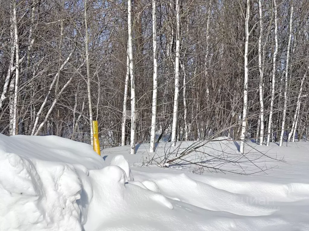 Участок в Новосибирская область, Новосибирский район, Новолуговской ... - Фото 1