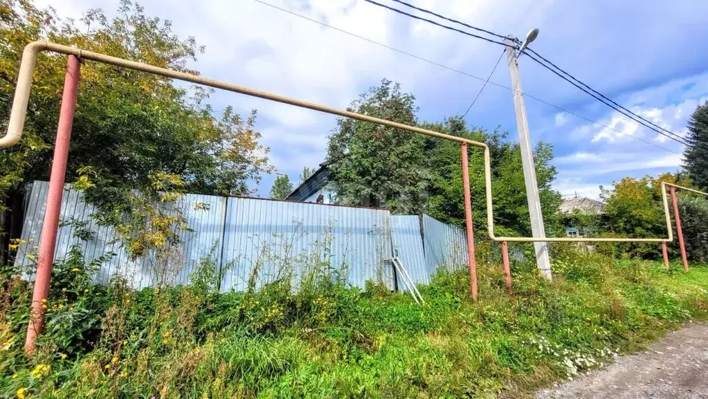 Участок в Новосибирская область, с. Новолуговое  (12.4 сот.) - Фото 0