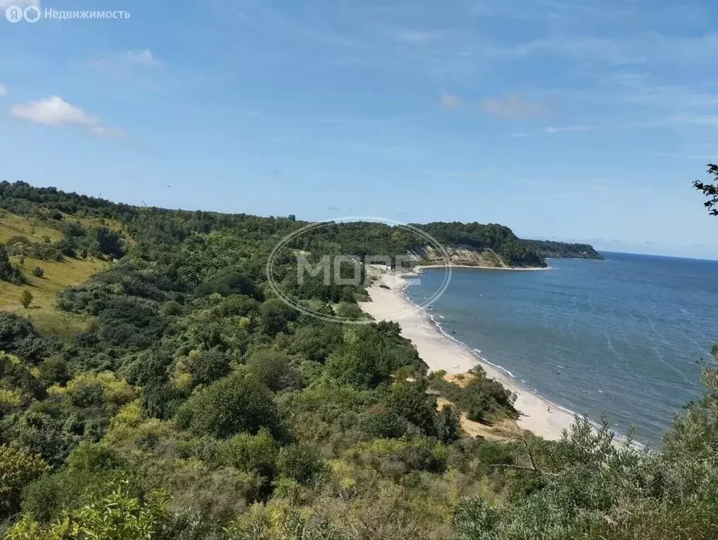 Участок в посёлок Приморье, Берёзовая улица, 25 (8 м) - Фото 1