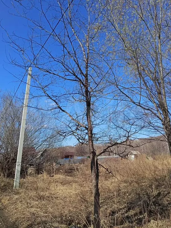 Участок 8 сот. (СНТ, ДНП) - Фото 0