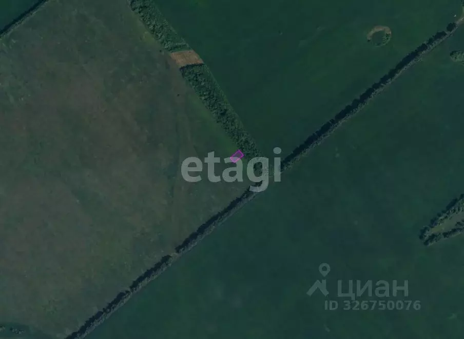 Участок в Тамбовская область, Тамбовский муниципальный округ, пос. ... - Фото 2