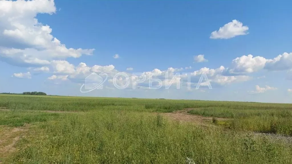 Участок в Тюменская область, Тюменский муниципальный округ, ... - Фото 1