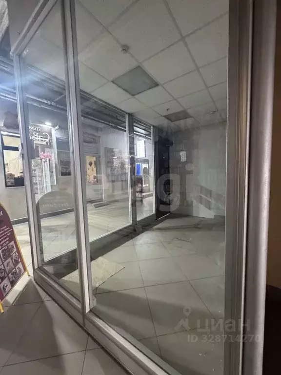 Торговая площадь в Татарстан, Казань просп. Ямашева, 93 (11 м) - Фото 1