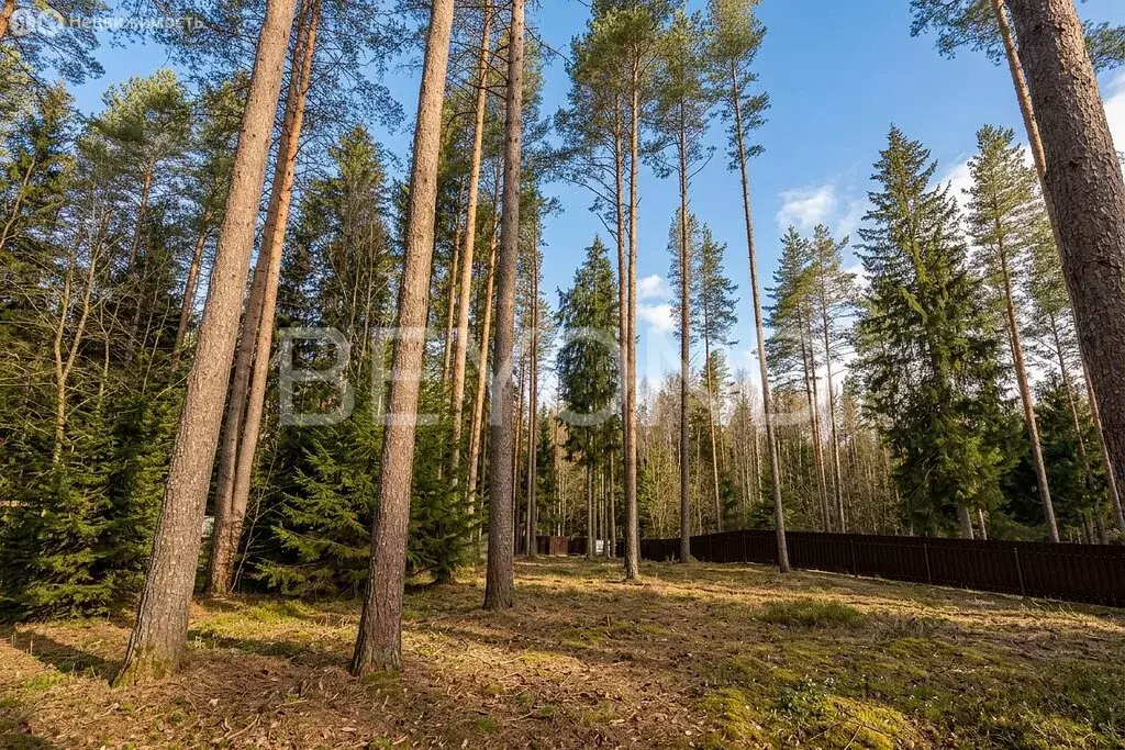 Участок в посёлок Западная Лица, Северный переулок (20.57 м) - Фото 1