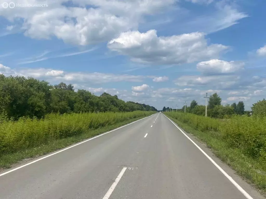 Участок в Омский район, село Андреевка (8 м) - Фото 0