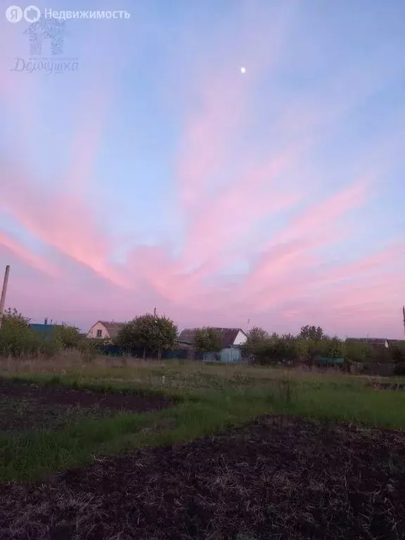 Участок в Семилуки, Молодёжная улица, 22А (10 м) - Фото 1