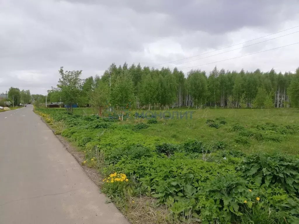 Участок в Нижегородская область, Чкаловск городской округ, д. ... - Фото 0