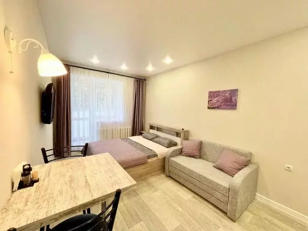 1-к кв. Татарстан, Казань ул. Гарифа Ахунова, 16 (28.0 м) - Фото 1
