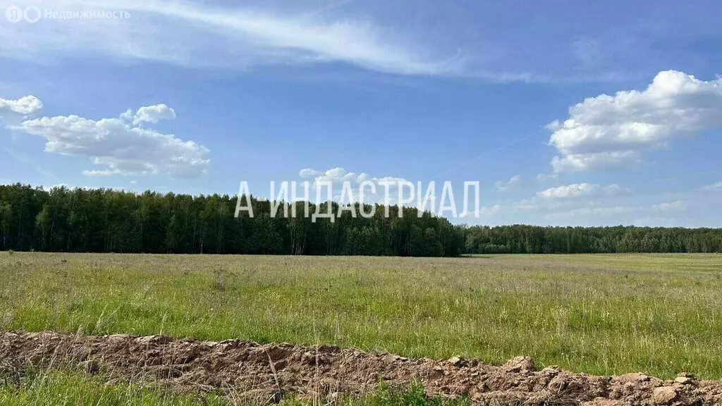 Участок в Московская область, городской округ Подольск, деревня ... - Фото 2