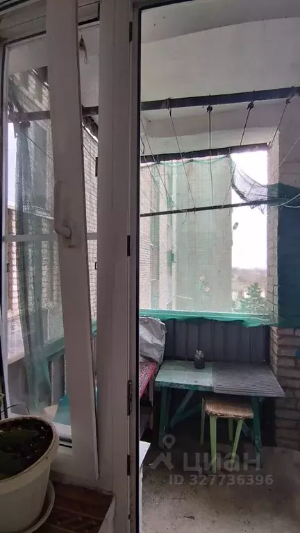 Комната Ростовская область, Азов Азовский район, ул. Васильева (17.0 ... - Фото 2