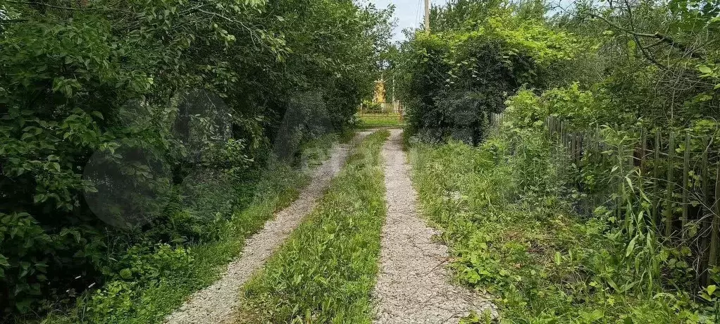 Участок 11 сот. (СНТ, ДНП) - Фото 1