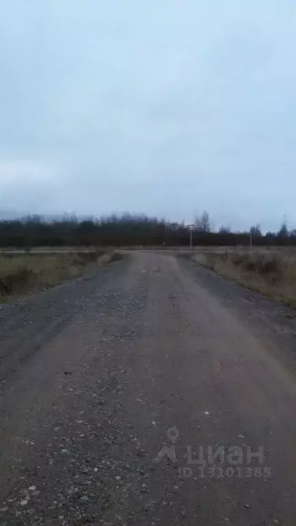 Участок в Новгородская область, Новгородский район, Савинское с/пос, ... - Фото 0