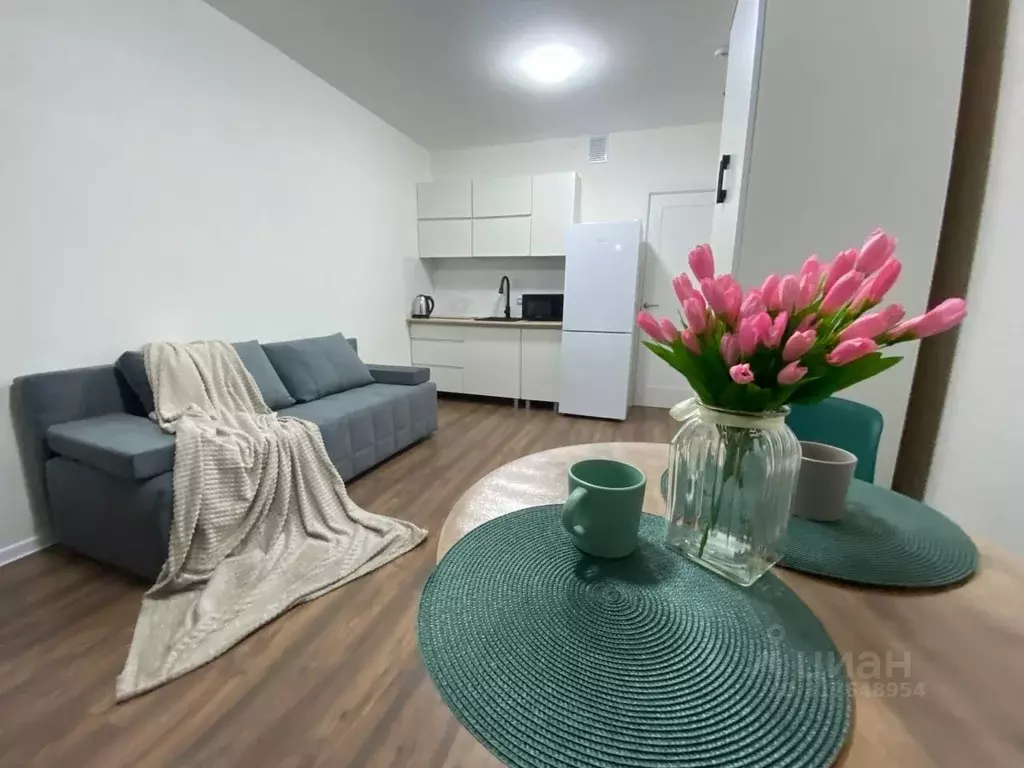 Студия Санкт-Петербург ул. Пейзажная, 30 (21.0 м) - Фото 0
