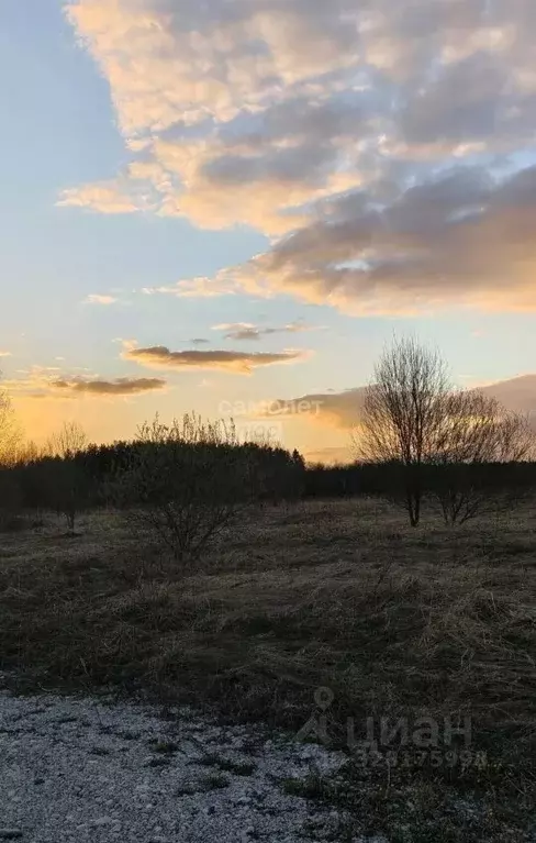Участок в Ленинградская область, Тосненский район, Любанское городское ... - Фото 1