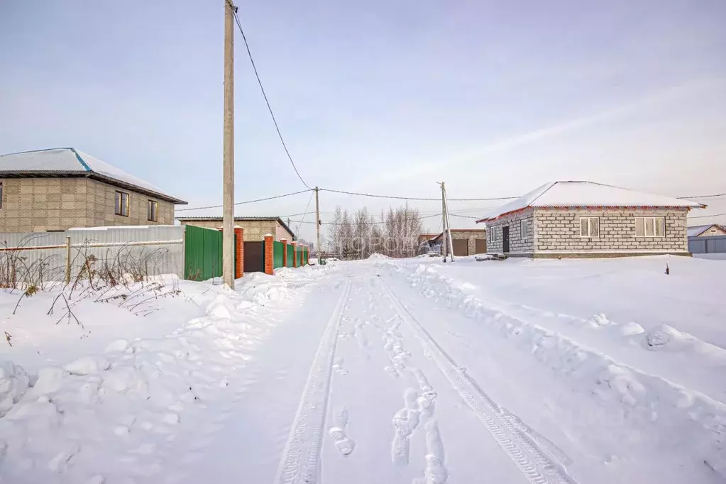 Участок в Новосибирская область, Новосибирский район, Станционный ... - Фото 1