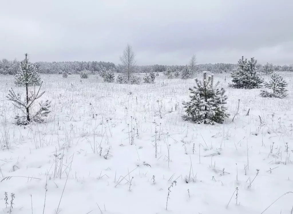 Участок в Тульская область, Алексин городской округ, д. Мясоедово  ... - Фото 2