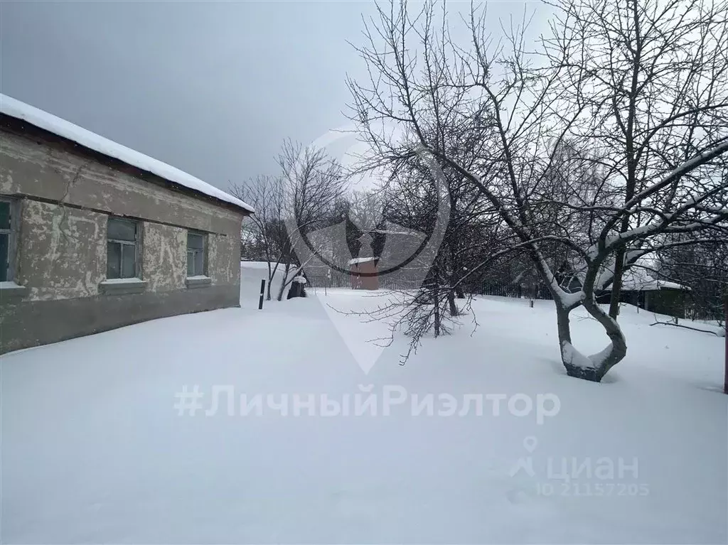 Дом в Рязанская область, Спасский район, Панинское с/пос, с. Выползово ... - Фото 1