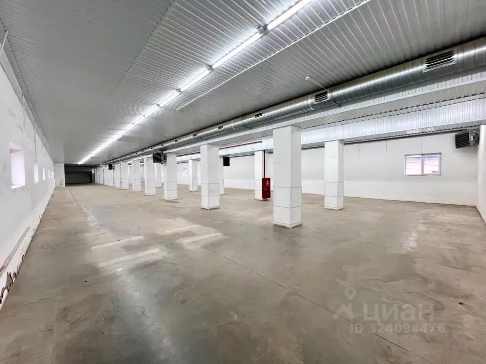 Торговая площадь в Оренбургская область, Оренбург Берды мкр, ул. ... - Фото 2