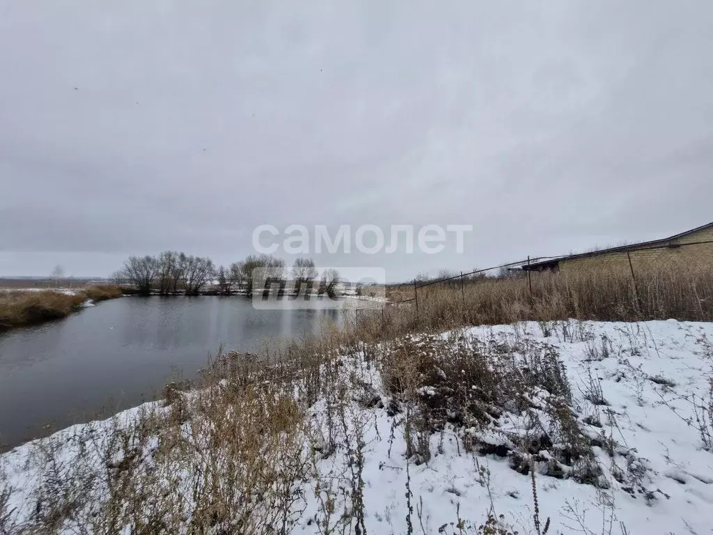 Участок в Воронежская область, Новоусманский район, ... - Фото 1