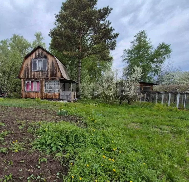 Дом в Новосибирская область, Новосибирск Садовод садовое товарищество, ... - Фото 0