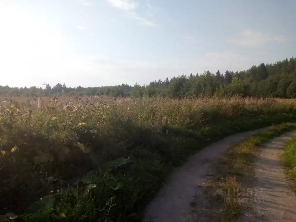 Участки Земли В Карелии Купить
