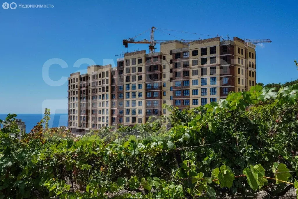 Квартира-студия: Кореиз, Родниковая улица, 41 (30.8 м) - Фото 2