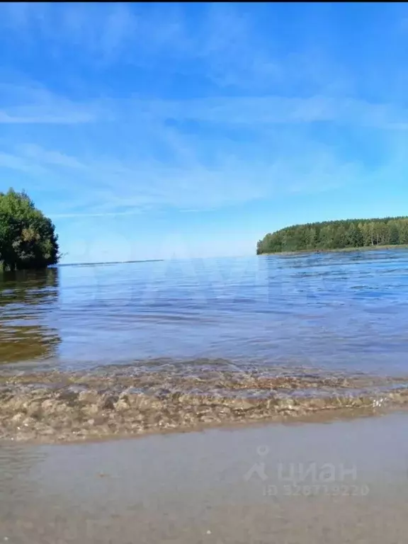 Участок в Нижегородская область, Сокольский муниципальный округ, д. ... - Фото 1