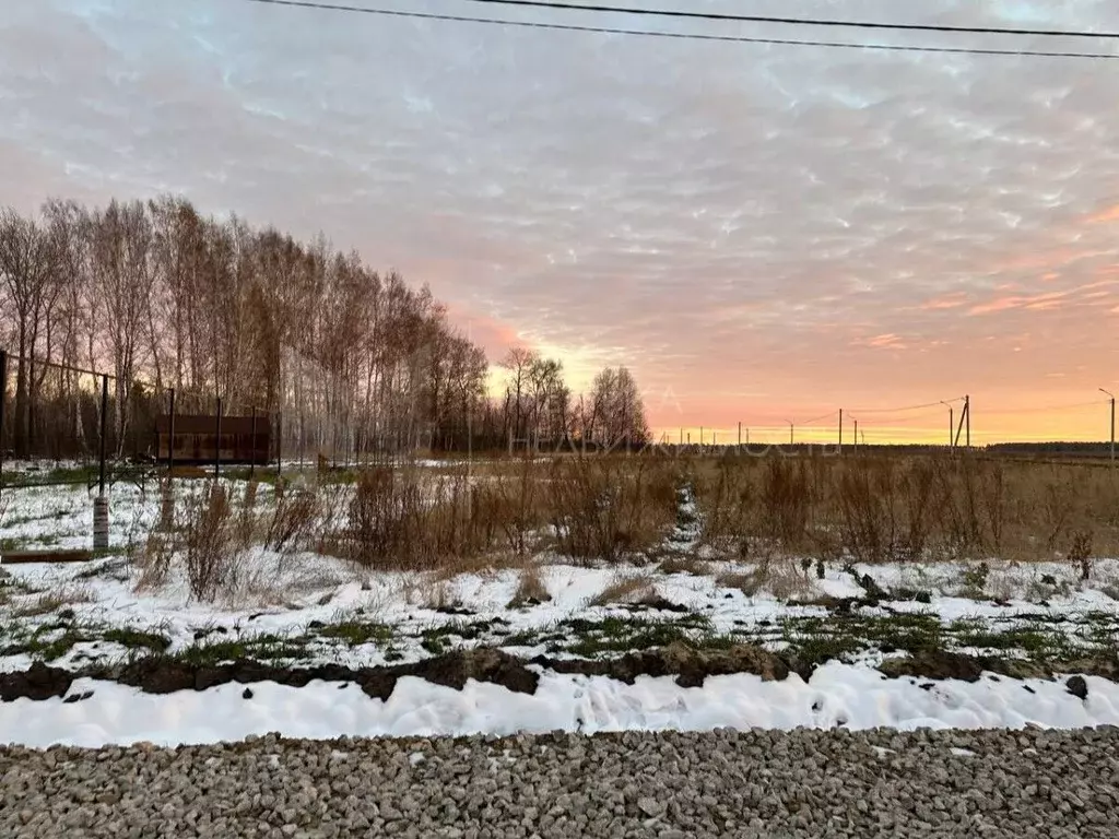 Участок в Тюменская область, Тюменский район, Новокаменский кп ул. ... - Фото 1