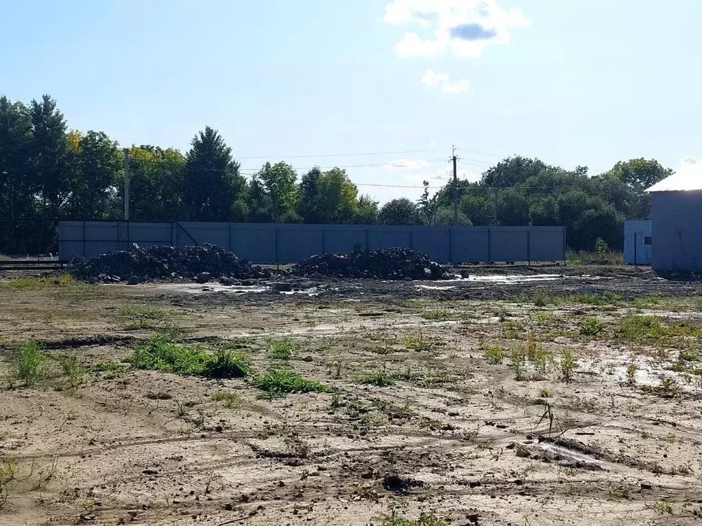 Участок в Хабаровский край, Хабаровский район, Тополевское с/пос, с. ... - Фото 1