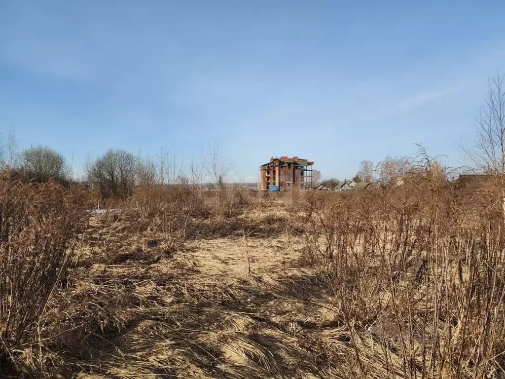 Участок в Брянская область, Брянский район, Нетьинское с/пос, Светлое ... - Фото 2