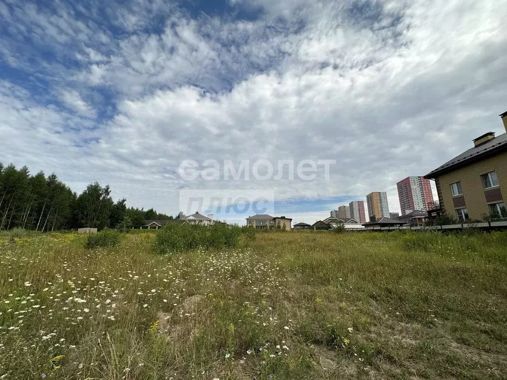 Участок в Нижегородская область, Нижний Новгород д. Анкудиновка, Мечта ... - Фото 2