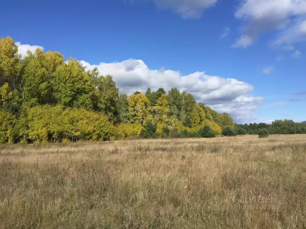 Участок в Бурятия, Баргузинский район, с. Зорино  (299.94 сот.) - Фото 2