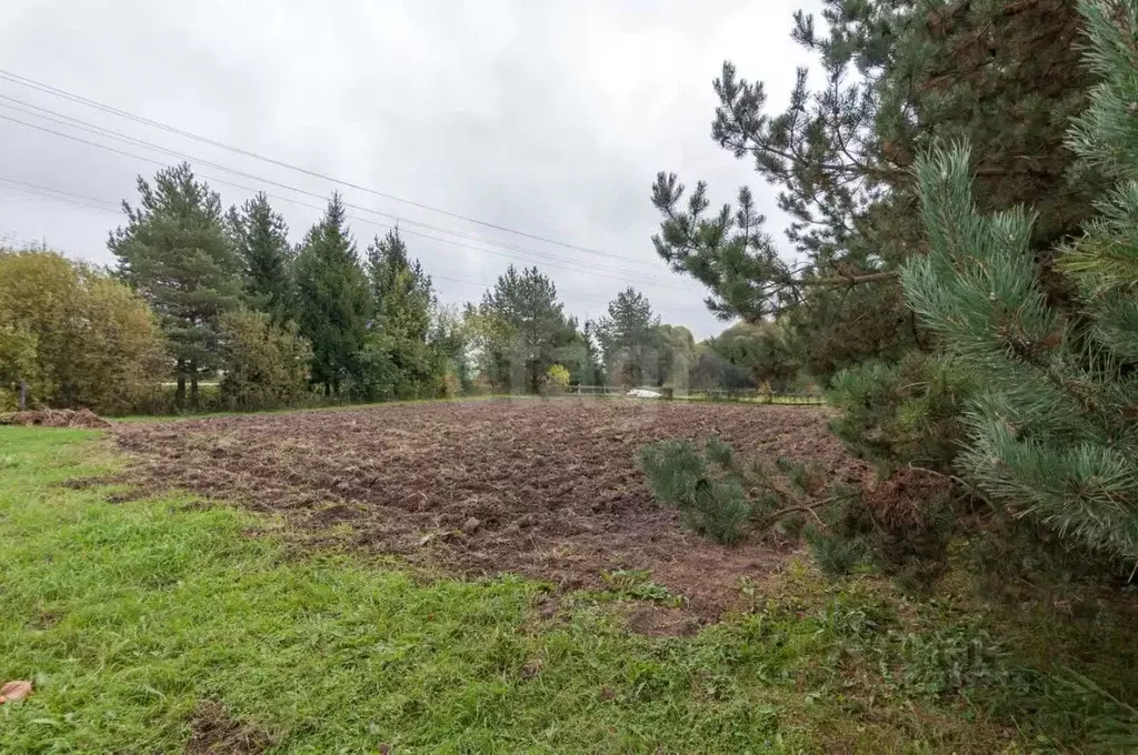 Участок в Вологодская область, пос. Ермаково ул. Сиреневая (7.44 сот.) - Фото 2