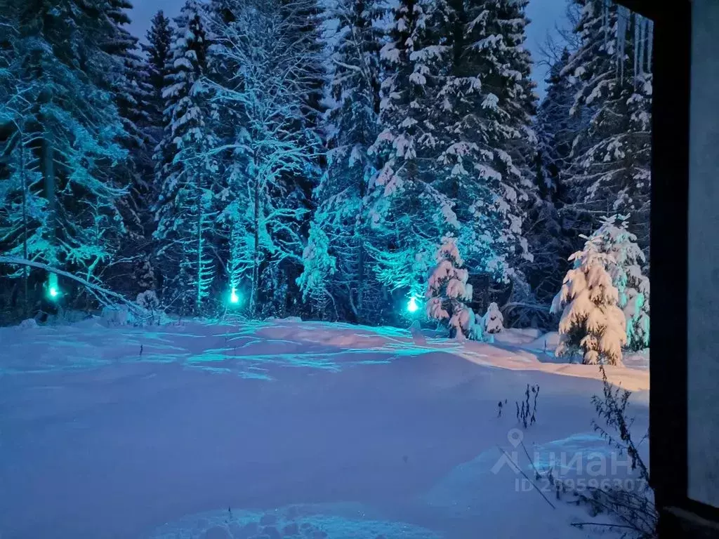 Дом в Карелия, Сортавальский муниципальный округ, пос. Рускеала ул. ... - Фото 2