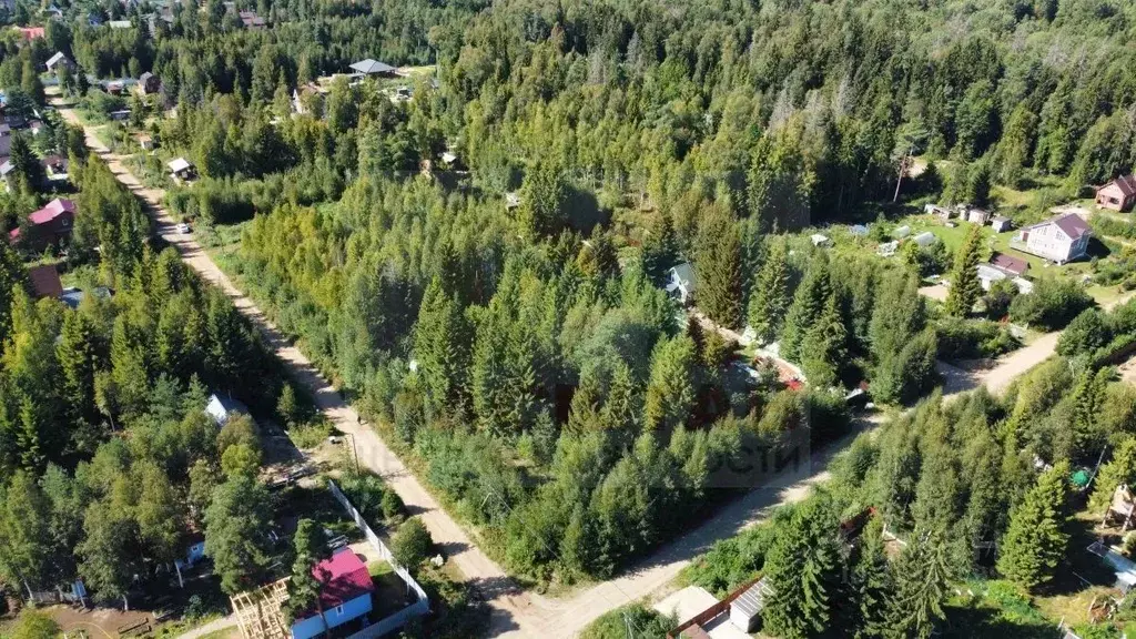 Участок в Ленинградская область, Ломоносовский район, Пениковское ... - Фото 1