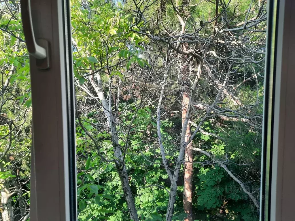 2-к кв. Краснодарский край, Геленджик ул. Гринченко, 32 (50.0 м) - Фото 2