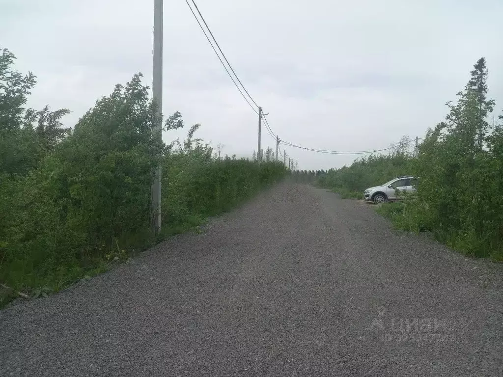 Участок в Московская область, Дмитровский муниципальный округ, д. ... - Фото 1