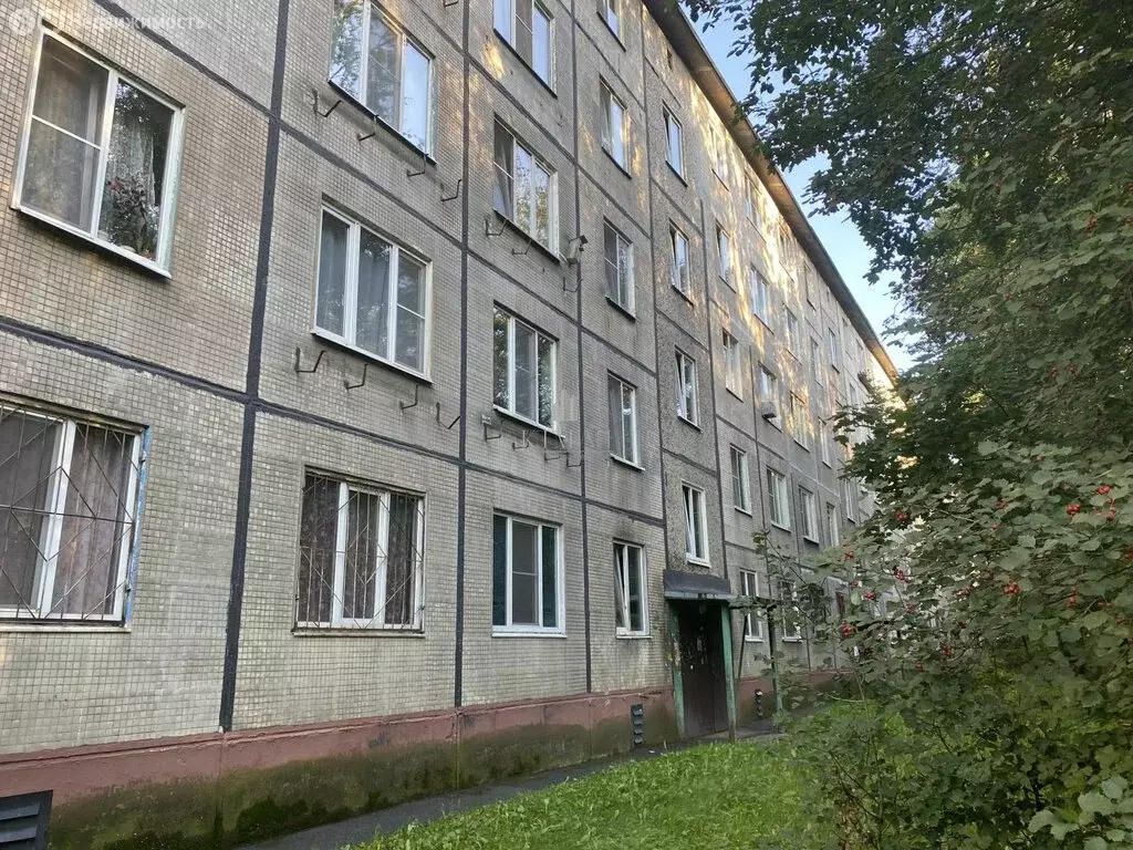 3-комнатная квартира: Санкт-Петербург, Народная улица, 82 (62 м) - Фото 1