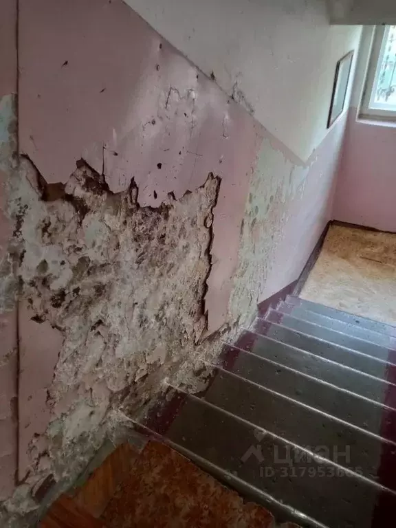 Помещение свободного назначения в Краснодарский край, Краснодар ... - Фото 0