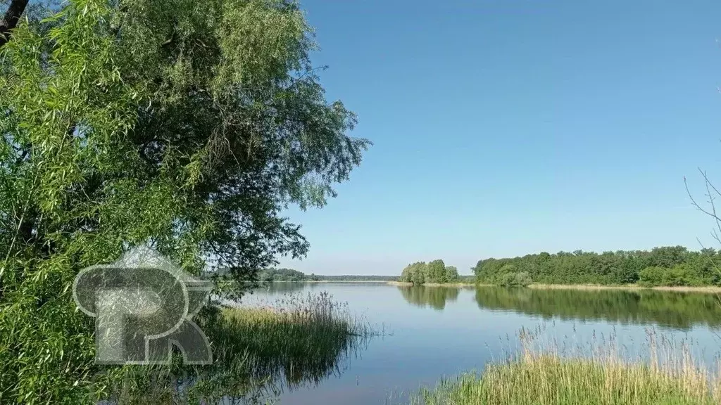 Участок в Московская область, Солнечногорск городской округ, Садовые ... - Фото 1