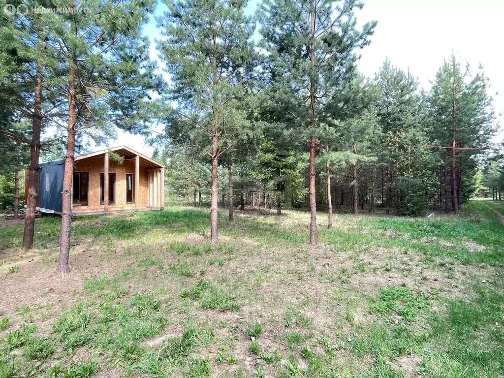 Дом в Завьяловский район, СНТ Нефтяник Прикамья (50 м) - Фото 2