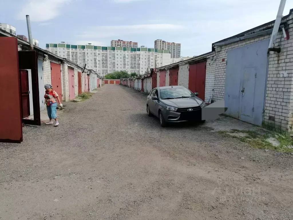 Гараж в Воронежская область, Воронеж БАМ мкр, Эхо ПК, 173 (29 м) - Фото 1