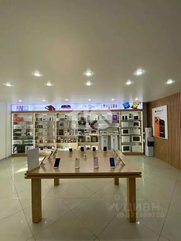 Торговая площадь в Новосибирская область, Бердск ул. Ленина, 33 (59 м) - Фото 1